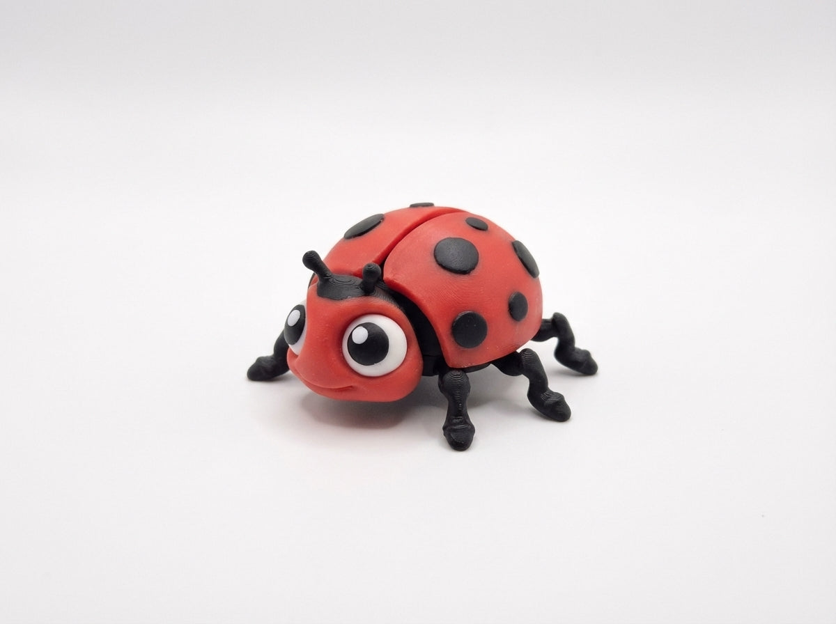 flexi_ladybug_fridge_magnet_Standard_final_1_flexi_ladybug_fridge_magnet.png
